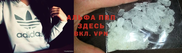 тгк Новозыбков