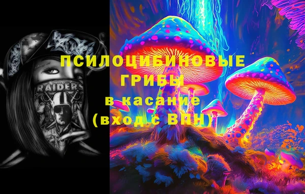 apvp Алексин
