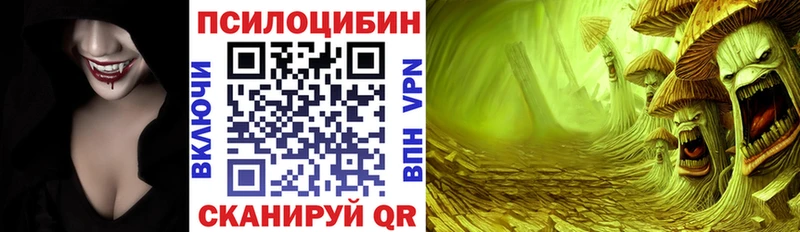 дарнет шоп  Алексеевка  Псилоцибиновые грибы прущие грибы 
